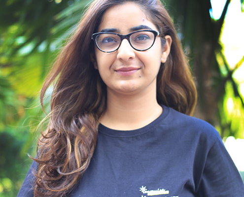 Harsha Pareek - One-Year Fellowship, of the Impulse Model Press Lab, 2018-19